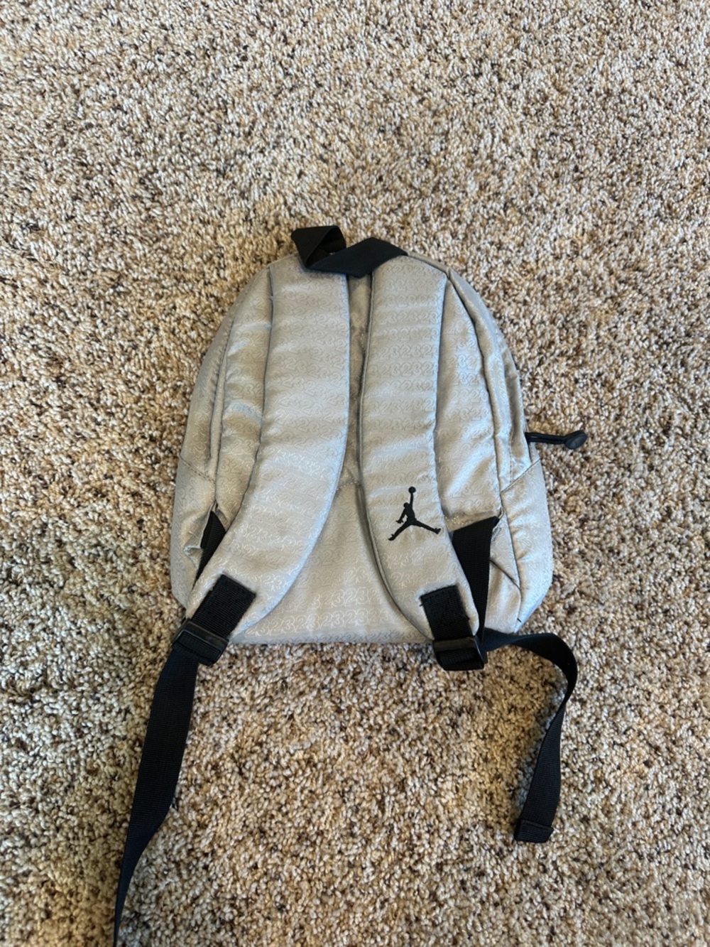 Jordan Silver Mini Backpack - Picture 2 of 2